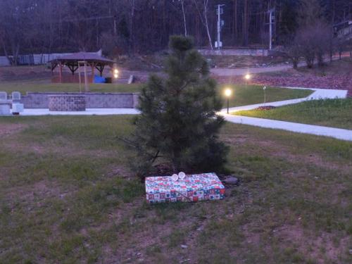 Rozsvícení vánočního stromku  4