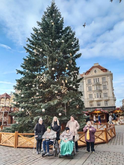 Výlety na adventní trhy Plzeň
